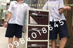 Tủ Nhựa Sake Duy Tân-Mini Duy Tân