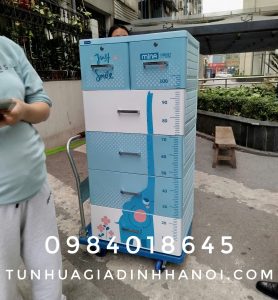 TỦ NHỰA DUY TÂN MINA DƯƠNG VOI