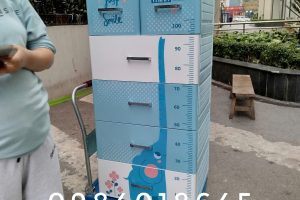 TỦ NHỰA DUY TÂN MINA DƯƠNG VOI